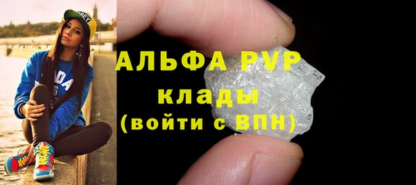 индика Абинск