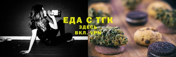 индика Абинск