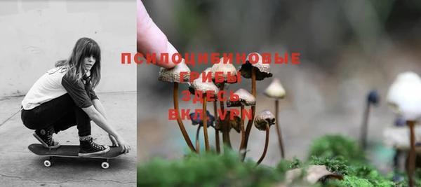 индика Абинск