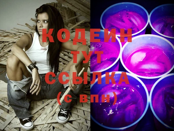 индика Абинск