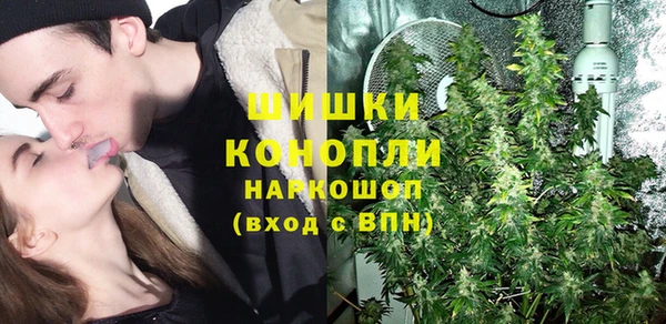 индика Абинск